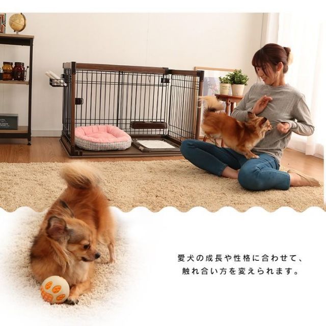 給餌 おしゃれ