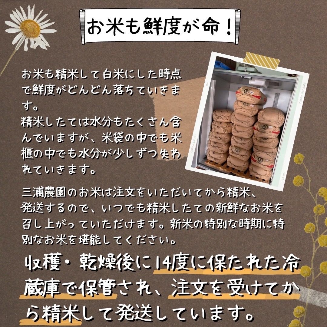 【令和6年・減農薬・特別栽培米】ゆめぴりか  10kg 北海道蘭越産