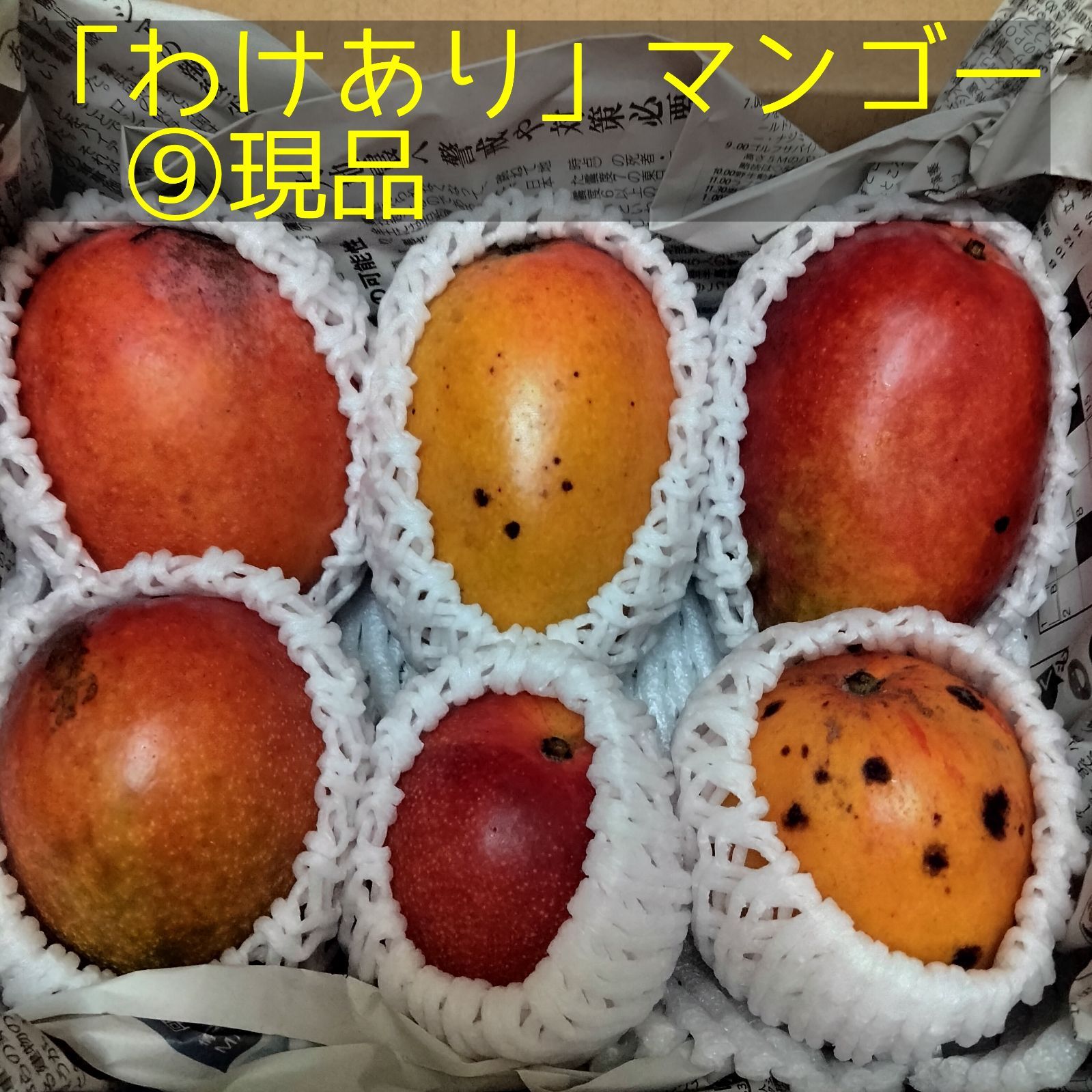 現品】沖縄県産「わけあり」マンゴー約1.6kg【クール便】⑬6/18 - メルカリ