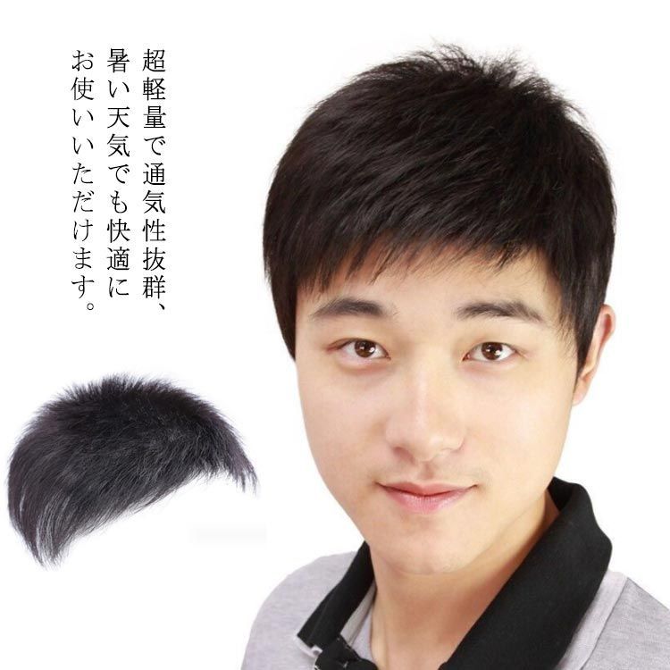 メンズ ウィッグ 男性用 かつら 100%人毛 黑色