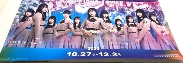 乃木坂46 櫻坂46 日向坂46 新参者 B2ポスター 【F4788-007】143