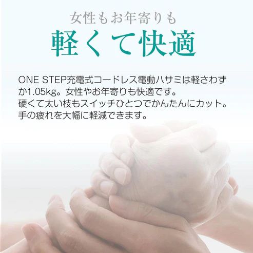 バサミ はさみ