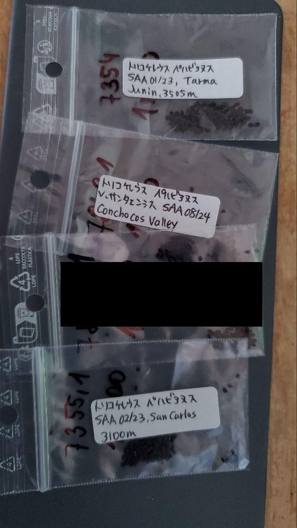 10粒ずつセット