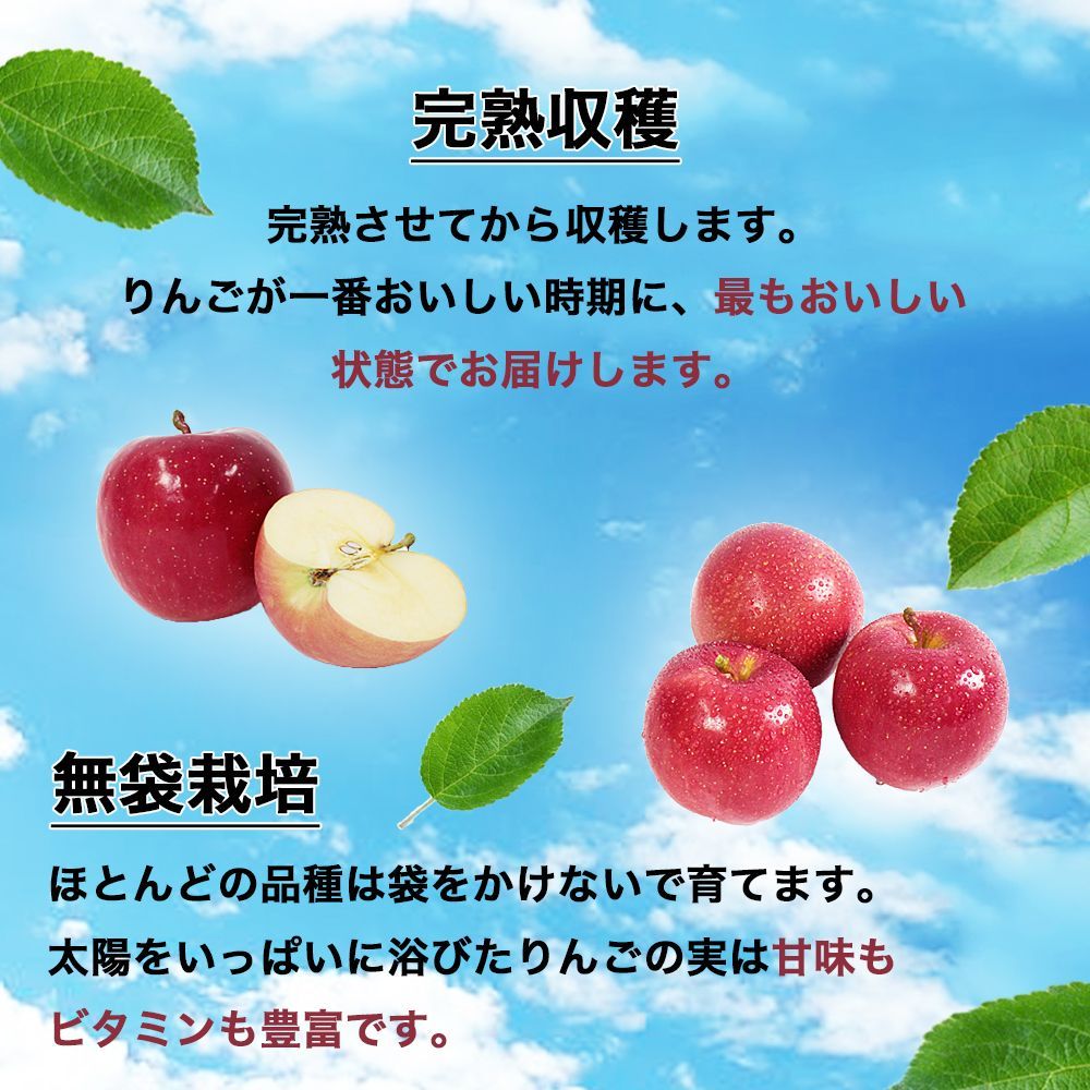岩手県産 産地直送 サンふじ りんご 約9kg 送料無料 りんご 果物-6