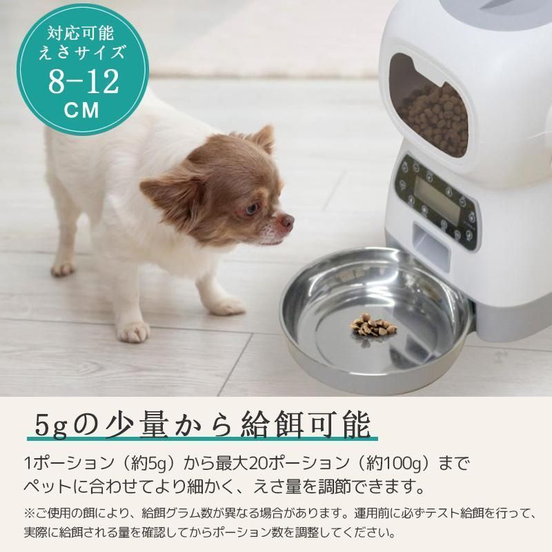 乾電池