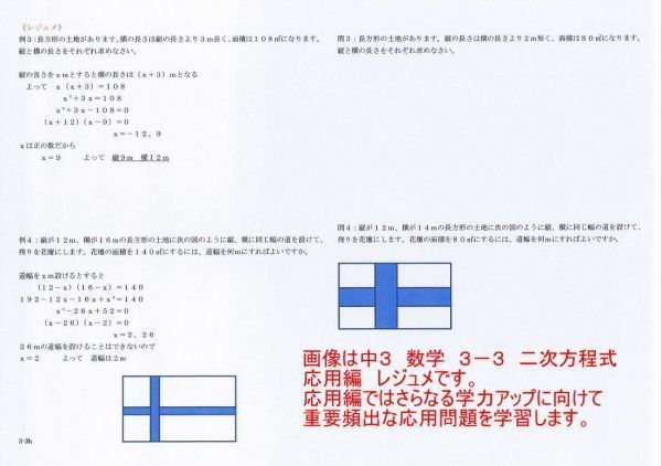 人気の福袋 正規品販売 新品 未使用 プロが教える 数学 中学 3年 Dvd 授業 応用 問題集 参考書 単品販売 参考書 Www Awarestorebr Com Br Www Awarestorebr Com Br