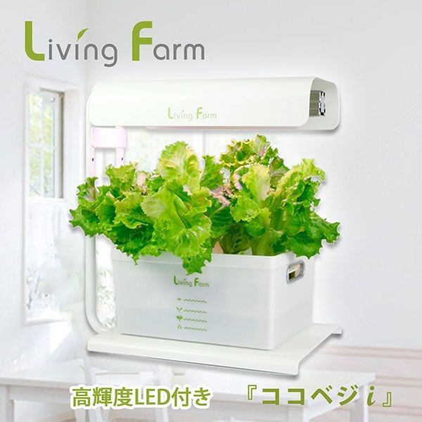 メーカー直送 小型水耕栽培器 ココベジi W 白色系 高輝度LED付