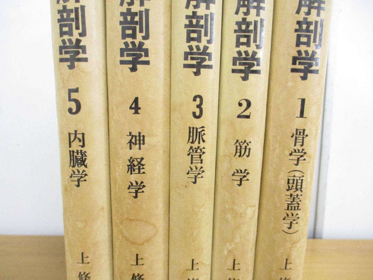 △01)【同梱不可】図説 口腔解剖学 全5巻揃セット/神経学/脈管学/筋学