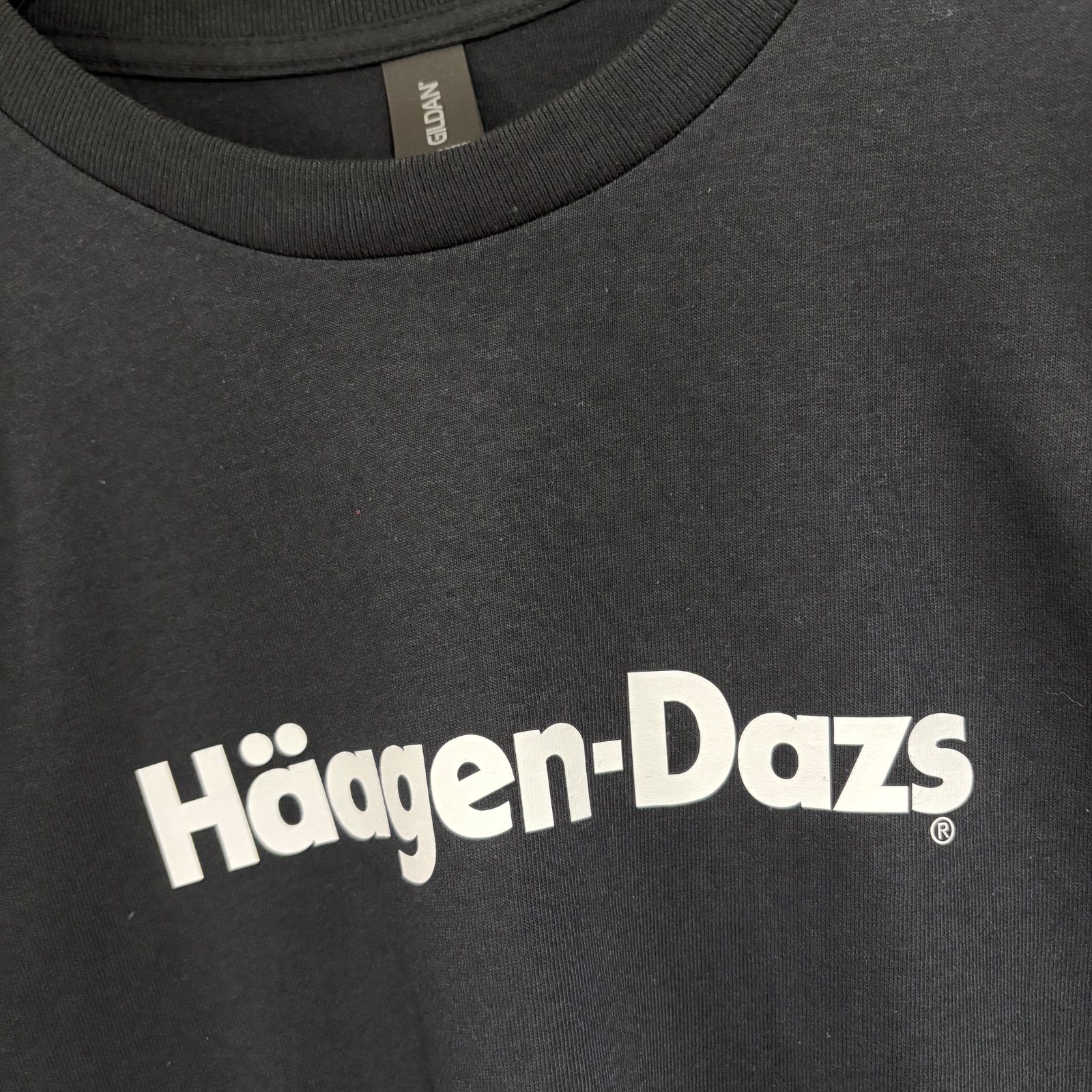 90's ハーゲンダッツ Tシャツ 黒 L ビンテージ black flag マイナースレット イアンマッケイ Haagen Dazs 90s Vintage Tシャツ ハーゲンダッツ フォト