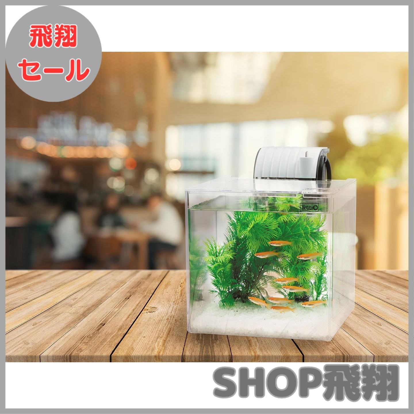 その他 TETRA Amazon.co.jp: テトラ (Tetra) VXスターター テトラ フィルター