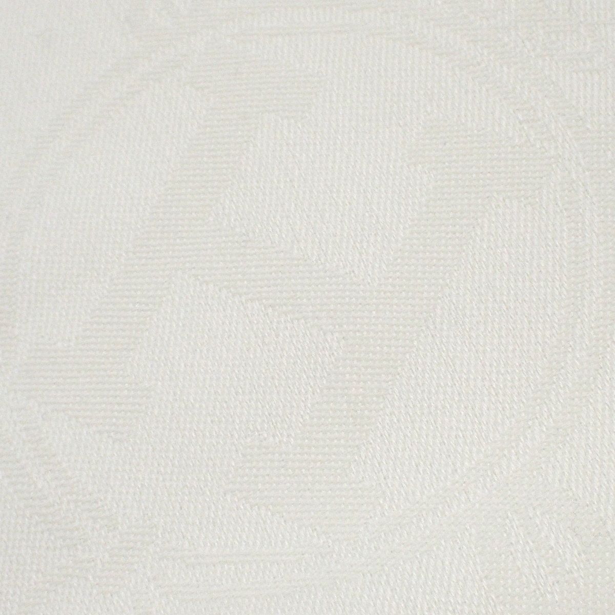 イヴォワール ホワイト白