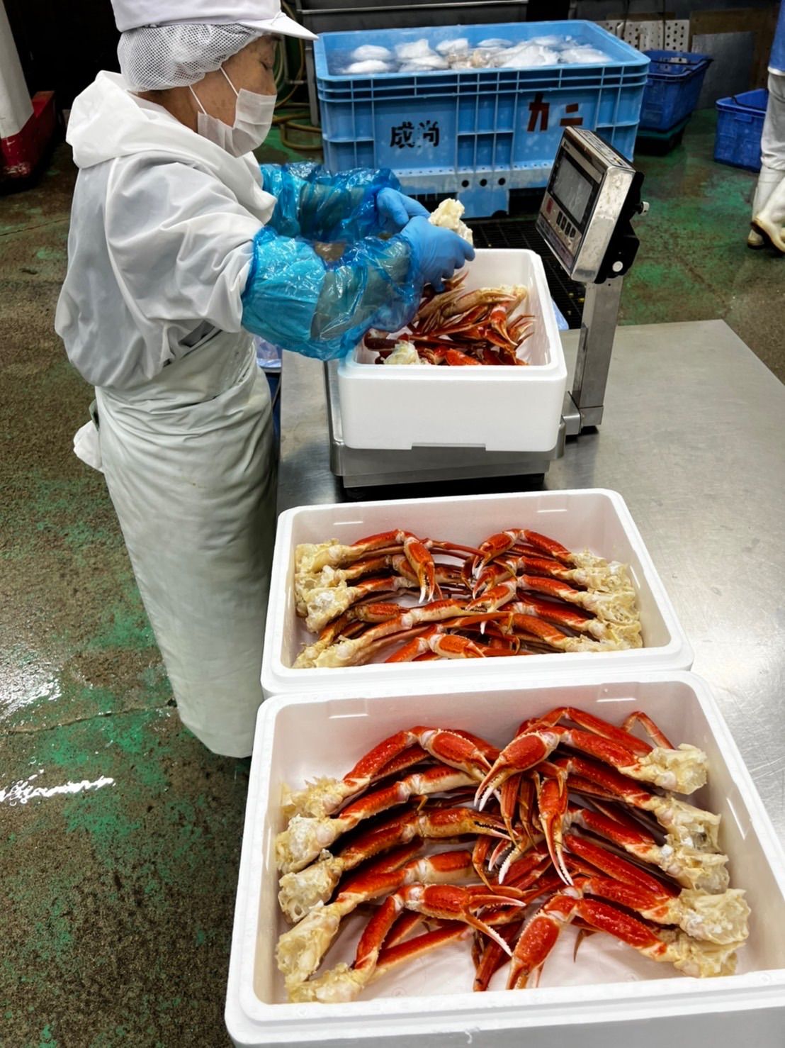 本ズワイ蟹足2kg? 足折れ混じり