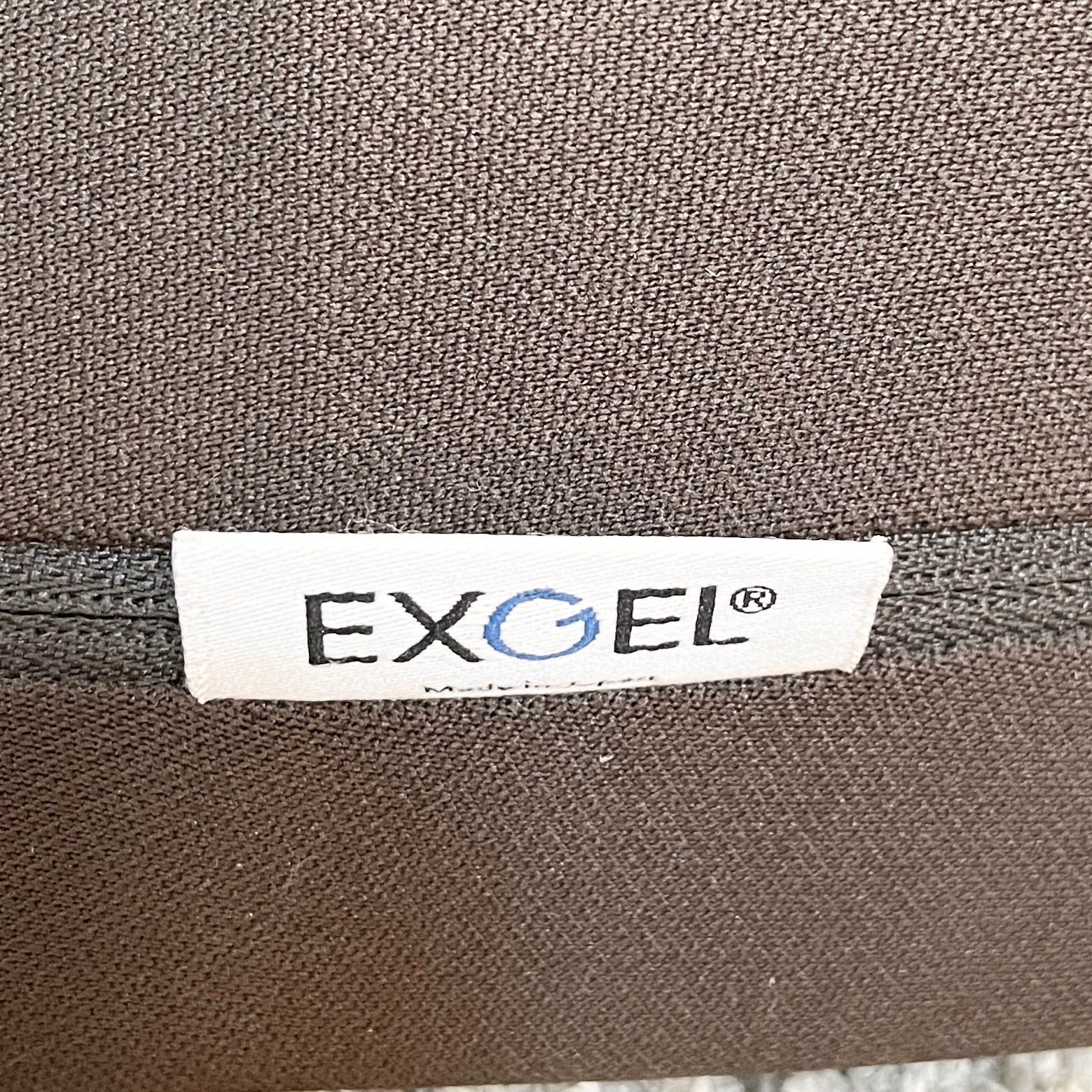 C-07036 EXGEL エクスジェル 骨盤サポート座椅子 ハグ床座
