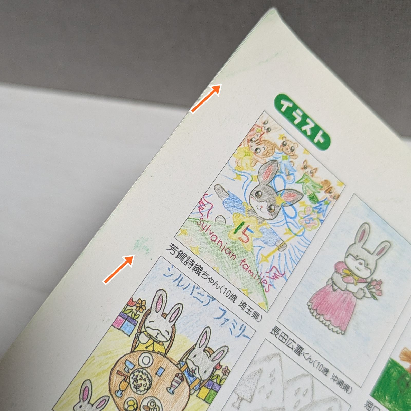 だいすきシルバニア 本 10冊 セット だいすきシルバニア 2～5（4冊