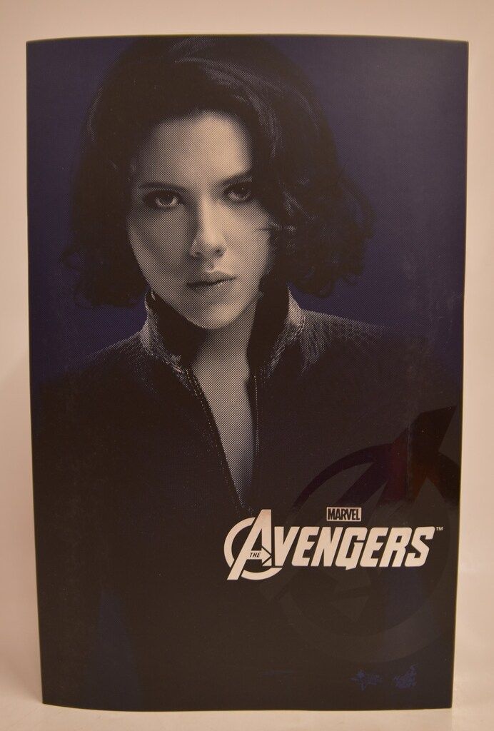 HOTTOYS MOVIE MASTERPIECE BLACK WIDOW MMS178 MMS178