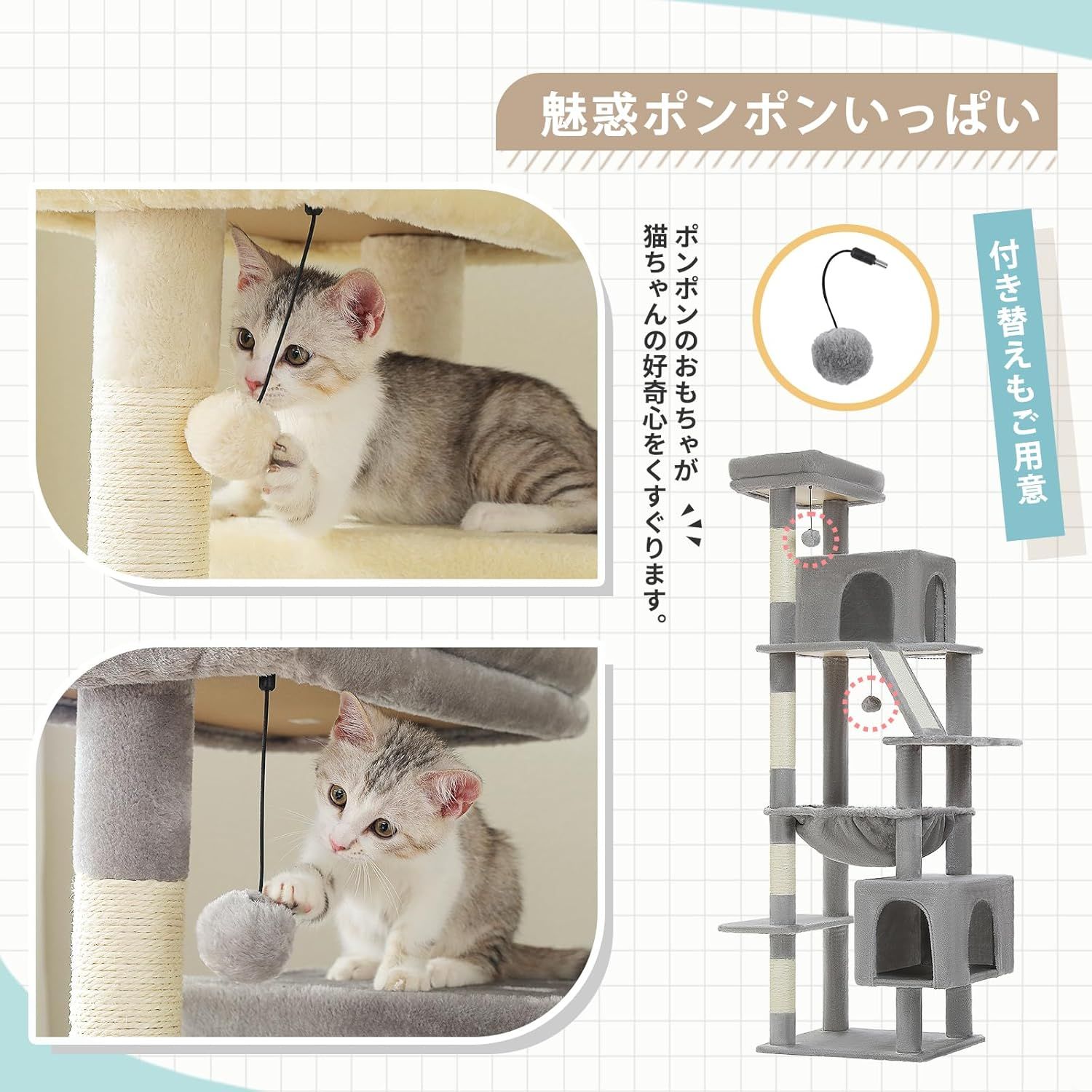 多頭飼い