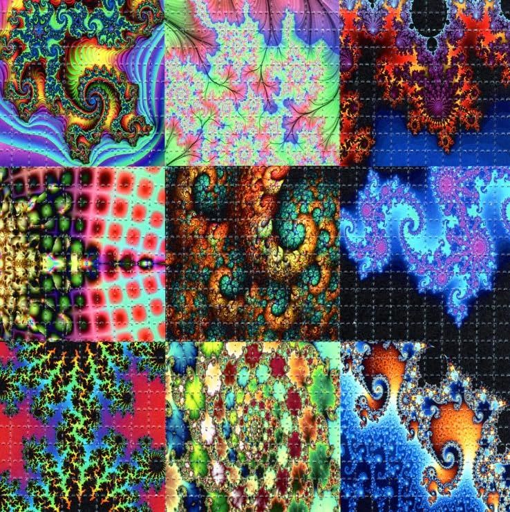 ブロッターアート サイケデリック図版 限定印刷作品2 米作家独占入手 限定1枚 Gdabs FRACTAL X9#2 サイケデリック・ブロッター アートプリント