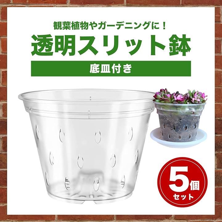 nijimomo 穴空き 植木鉢 5個セット 透明 プラスチック スリット