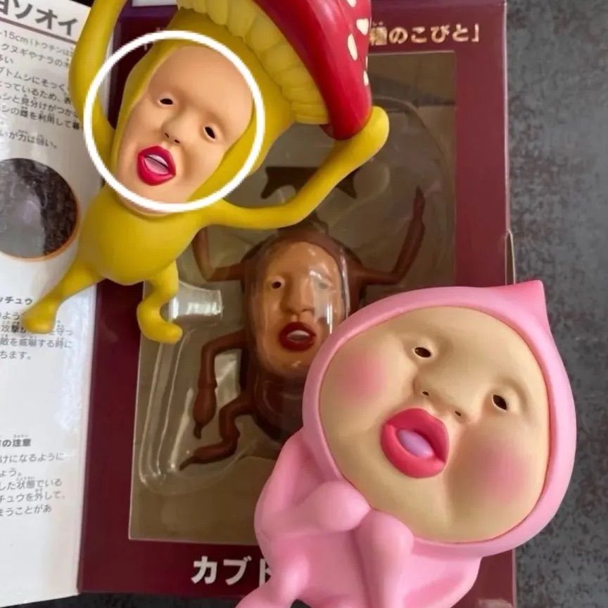 2個セット】 こびとづかん カクレモモジリ リトルハナガシラ