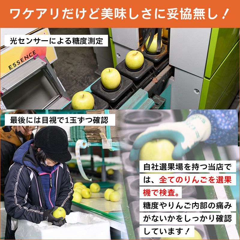 家庭用 ふじりんご