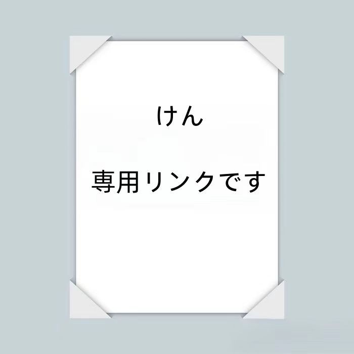 けん  専用リンクです