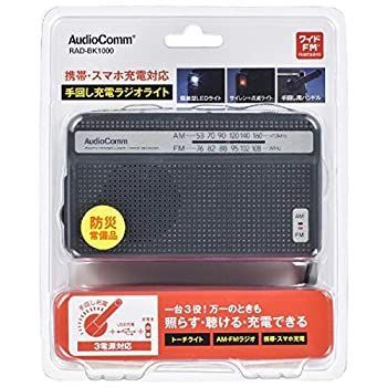 オーム電機 〔箱破損品〕 RADBK1000 【公式通販】