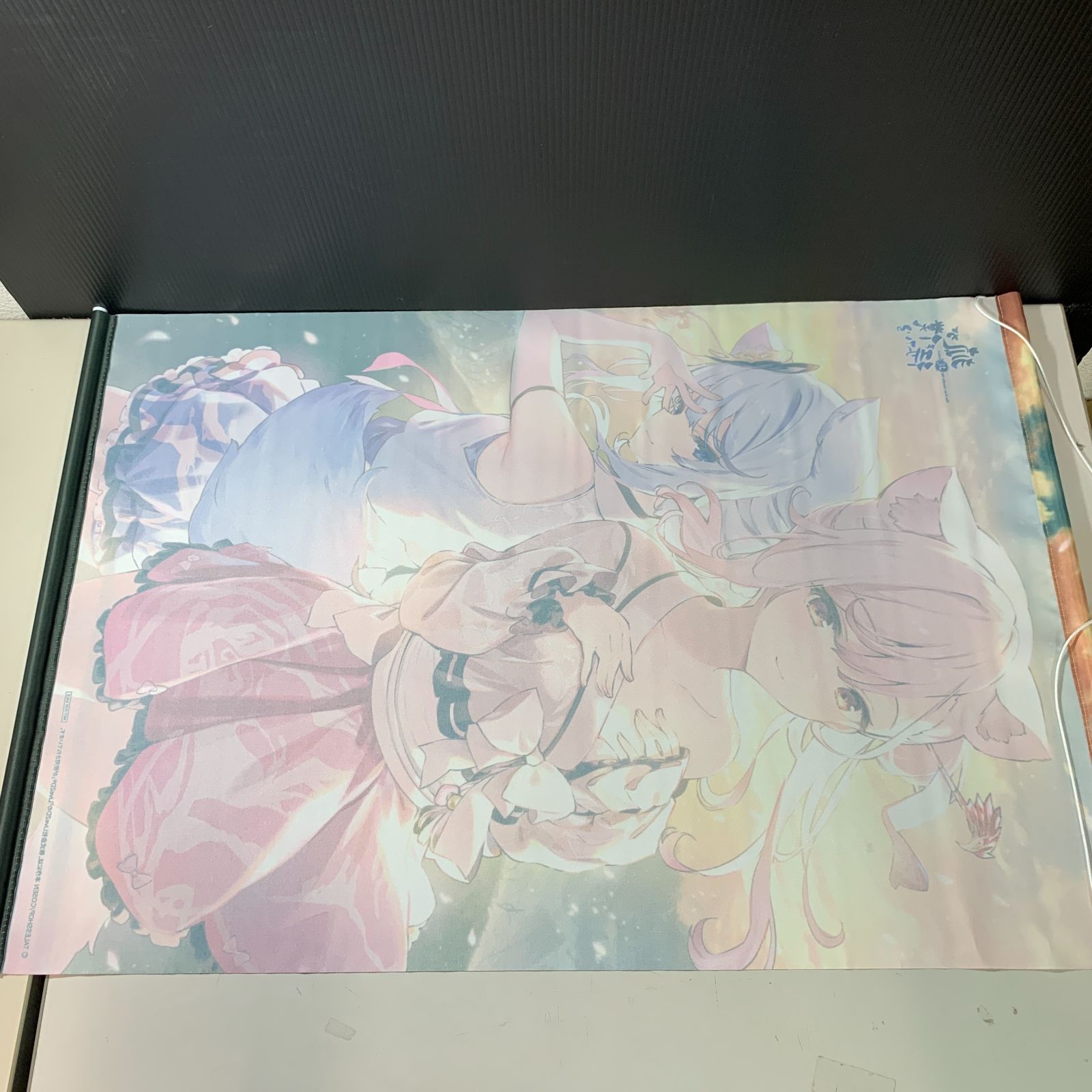 つ　タペストリー むつ41-072218】パッケージイラスト B2タペストリー 「Switch
