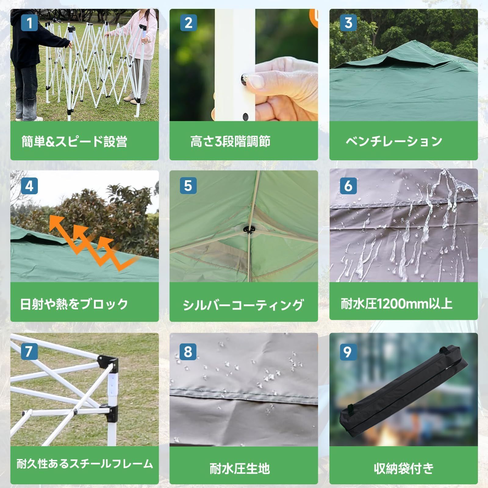 lee-240424 グリーン