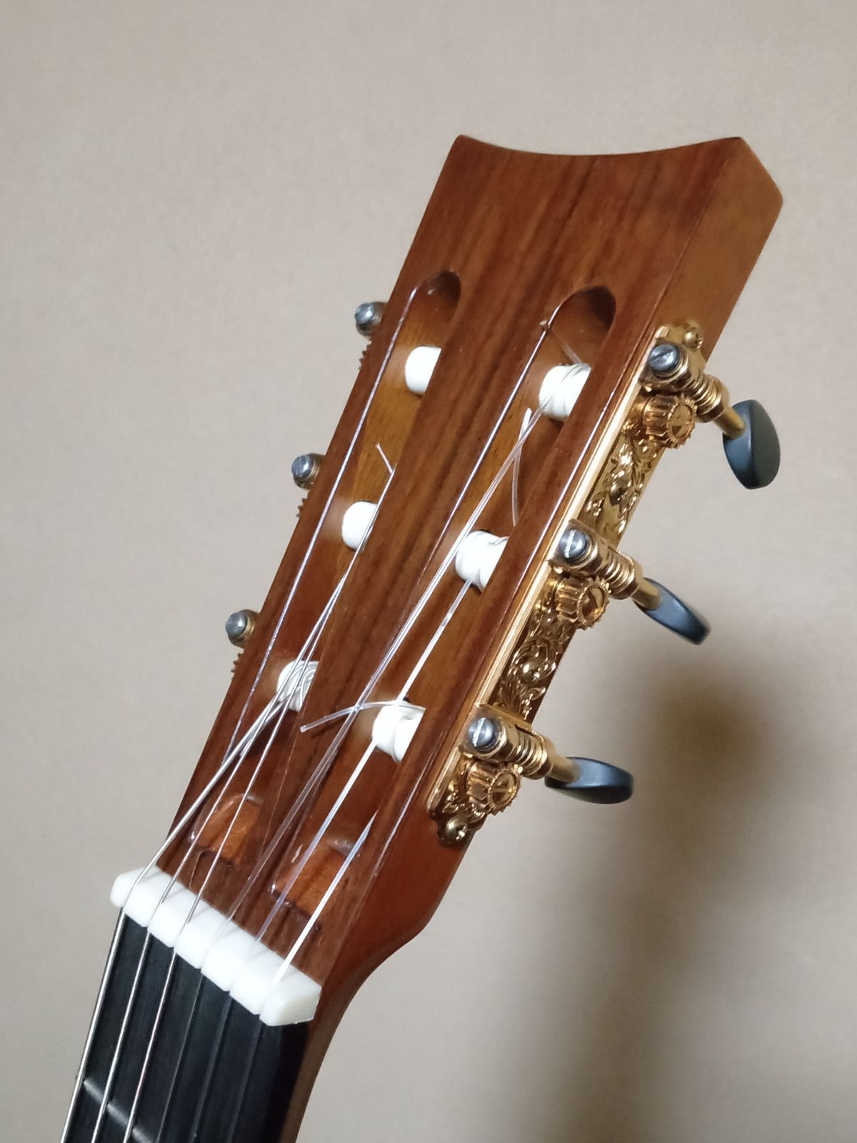 ARIAの中古ギター ARIA アリア 19世紀 ラコートタイプギター - メルカリ