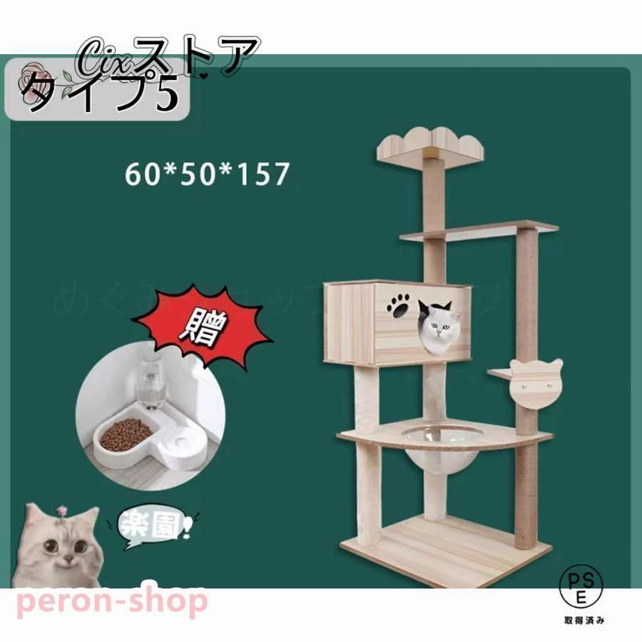 子猫