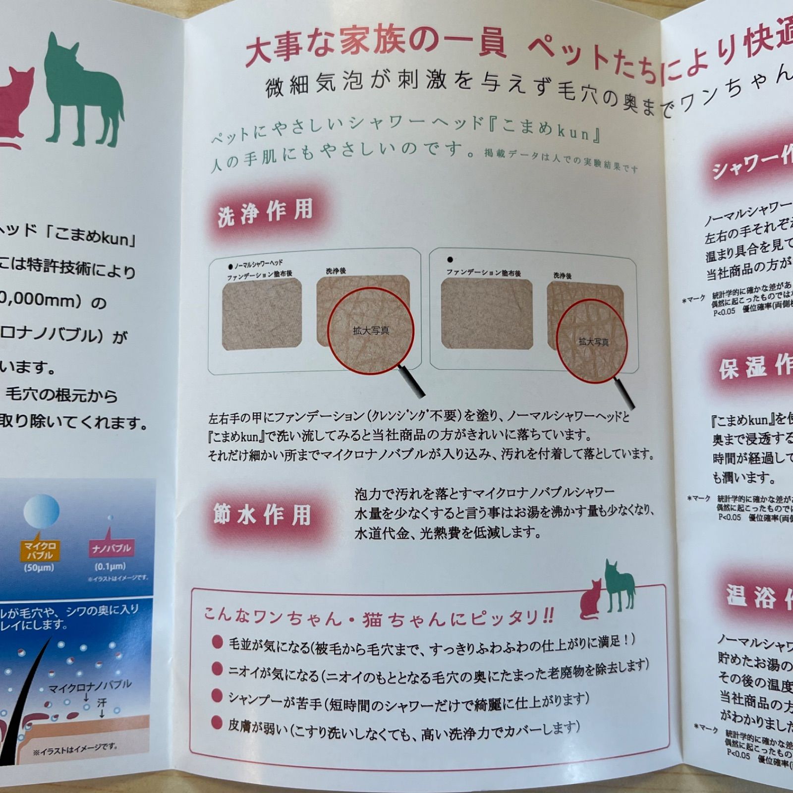 サンナホル