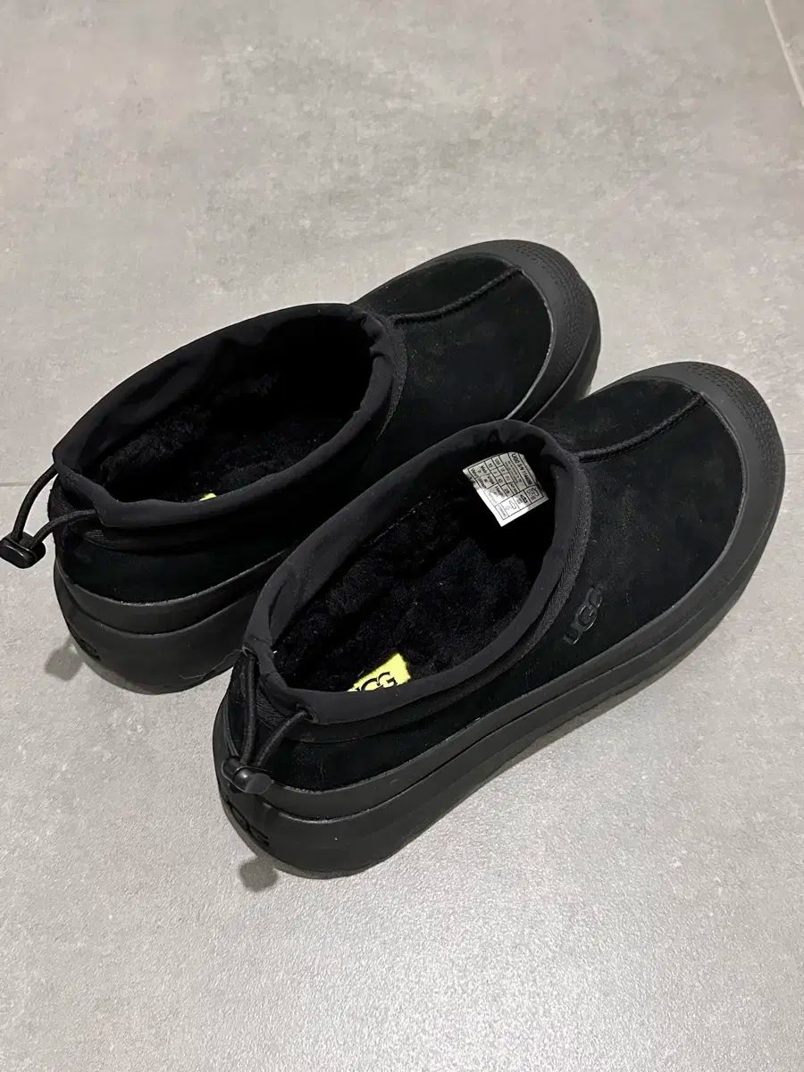 UGG(アグ) タスマン 天気 280