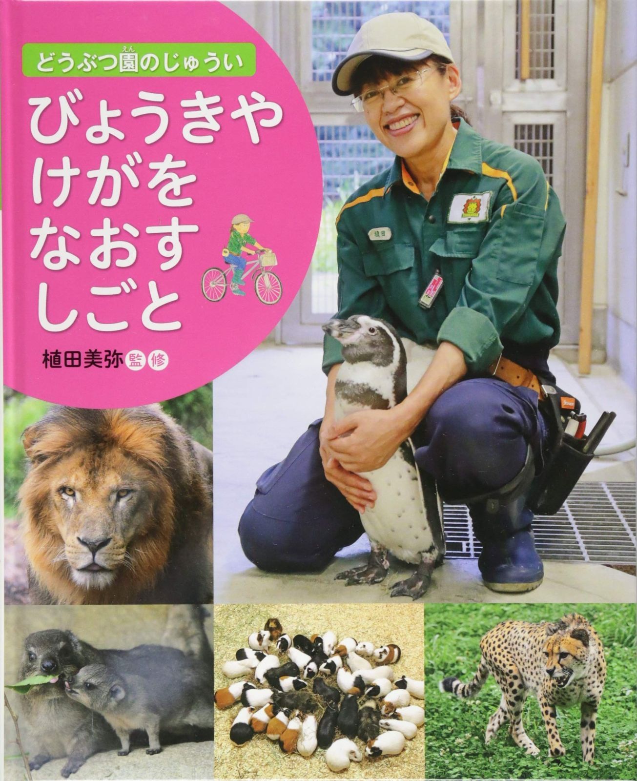 びょうきや けがを なおす しごと (どうぶつ園のじゅうい) 【公式通販】