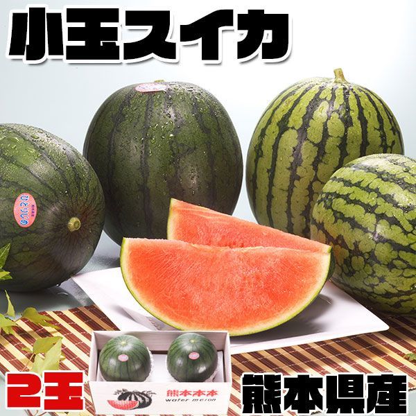 小玉 スイカ 熊本県産 すいか 西瓜 1箱 小玉 1.8kg × 2玉 お取り寄せ フルーツ 高品質 化粧箱入り 贈答用 母の日 父の日お中元 お土産 ギフト 100512