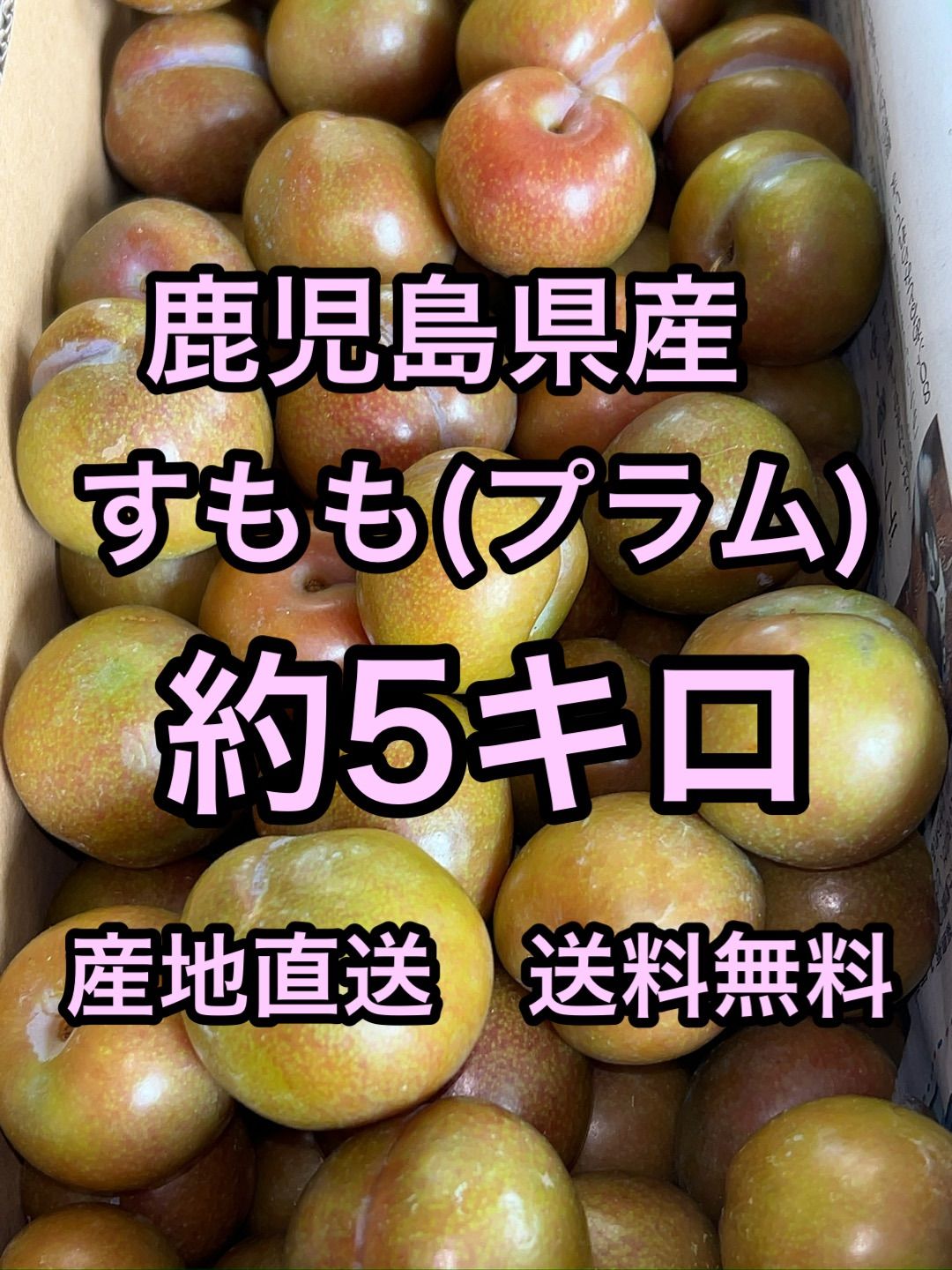 鹿児島県産　すもも(プラム)   約5キロ 鹿児島県産 すもも(プラム) 約5キロ b - メルカリ