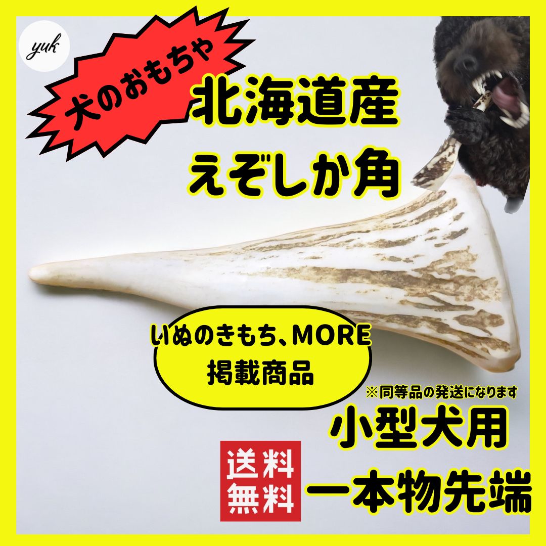 送料無料】🐶小型犬用🐶一本物 先端🦌北海道産エゾ鹿の角🦌犬の