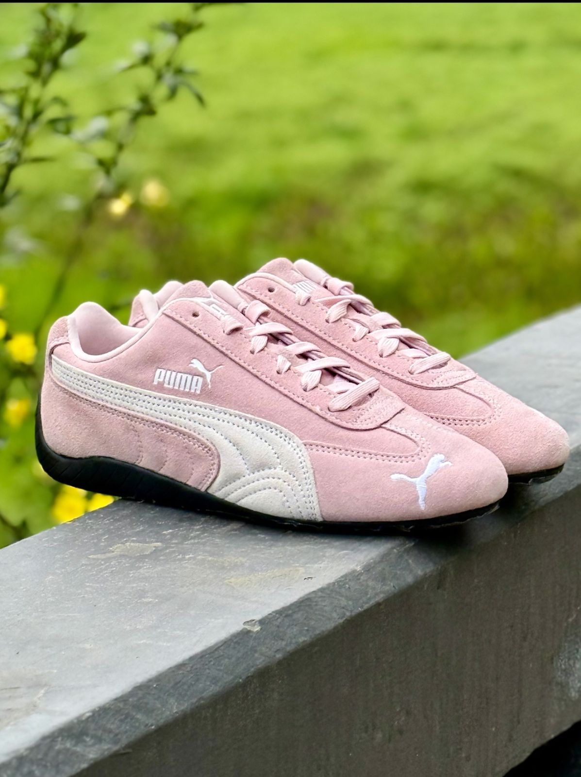 PUMA - 未使用　PUMAゴルフ　薄手　ウインドウブレーカー　M ピンク PUMA - 未使用 PUMAゴルフ 薄手 ウインドウブレーカー M ピンク