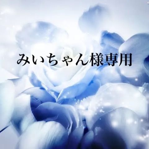 みぃちゃん様専用①-買う 激安