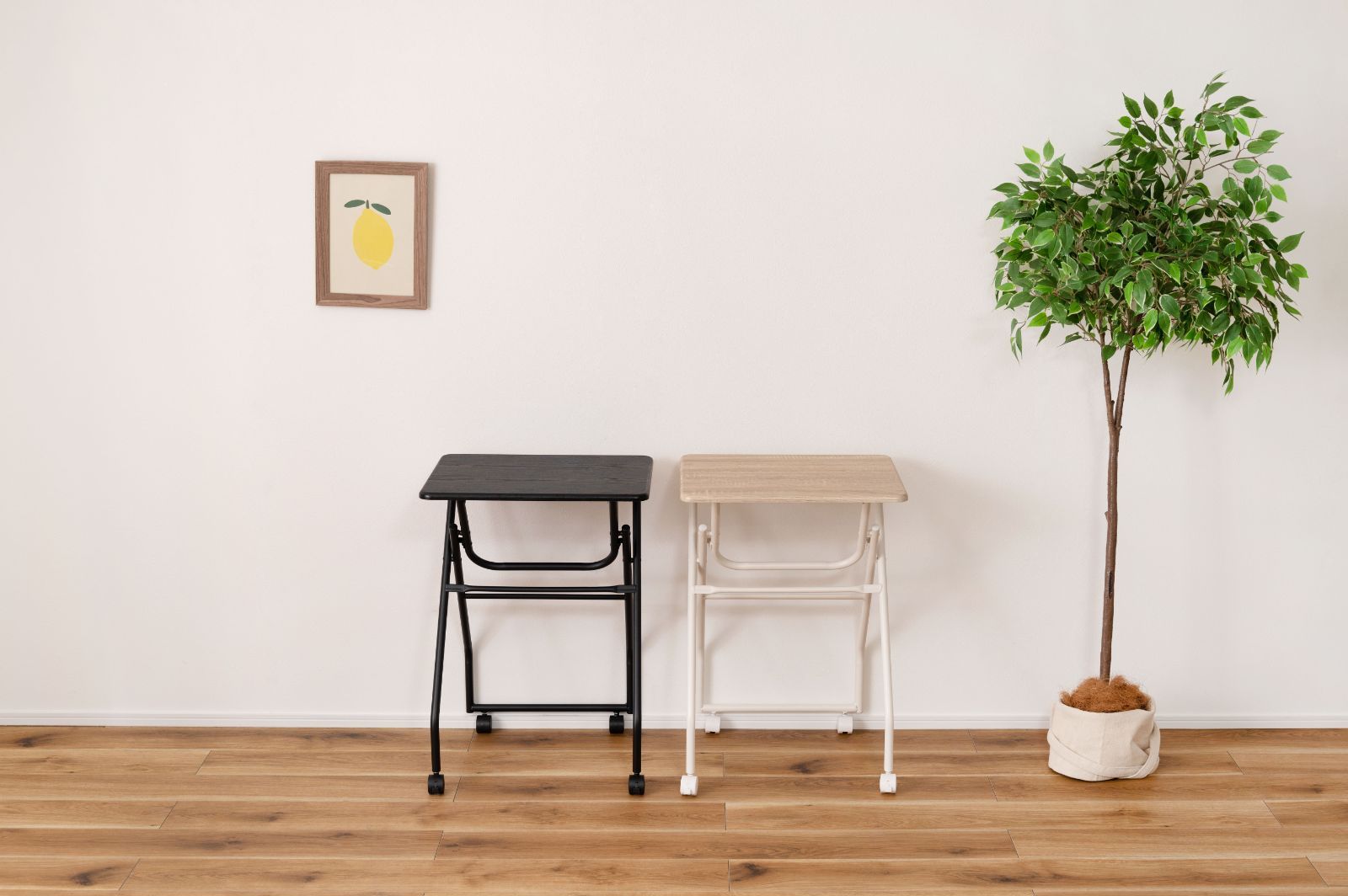 THE FAVORI ザ・ミューズ インク THE SATIN EDITION2 THE FAVORI Japan