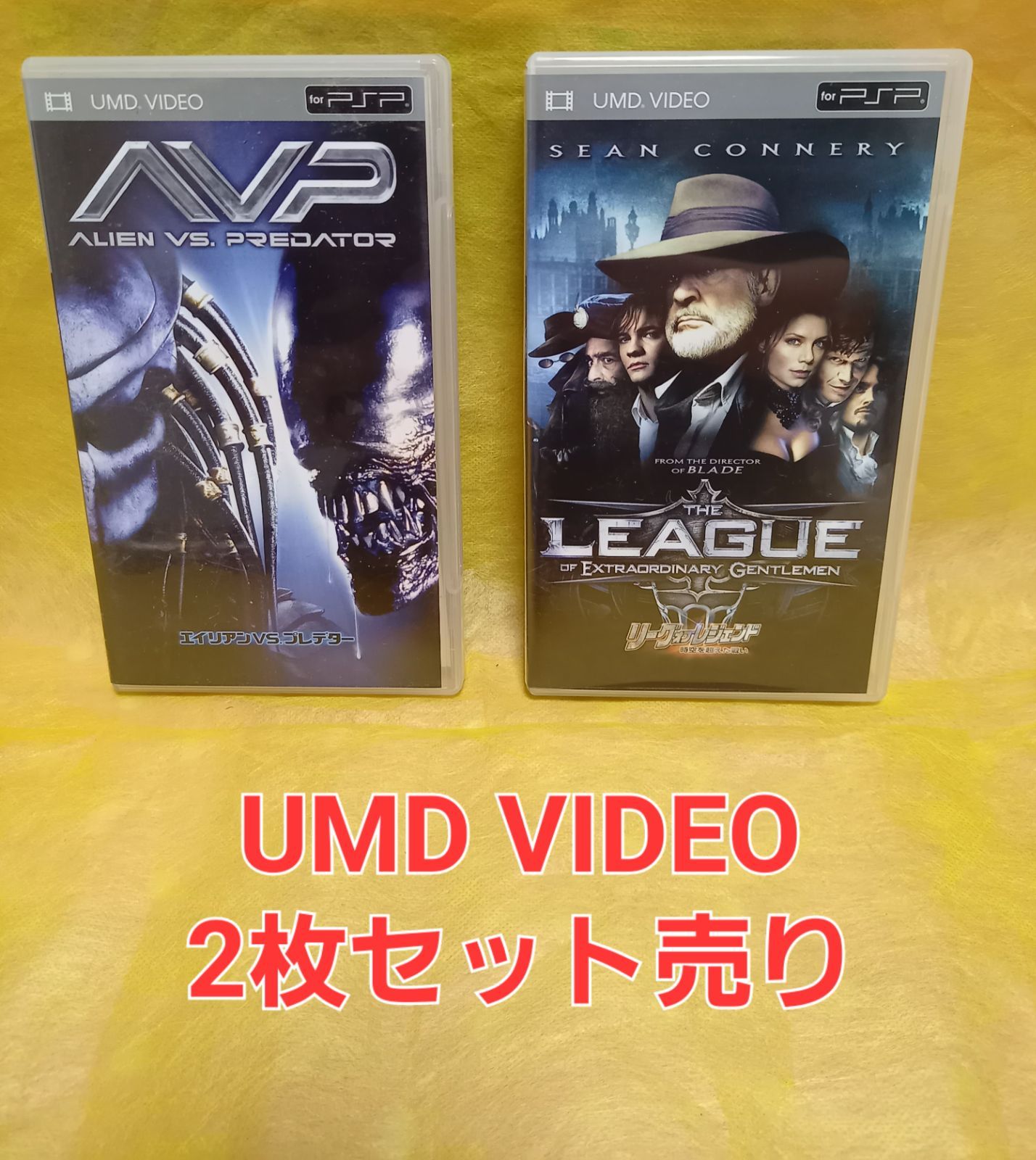 エイリアンVS.プレデター DVD - 洋画・外国映画