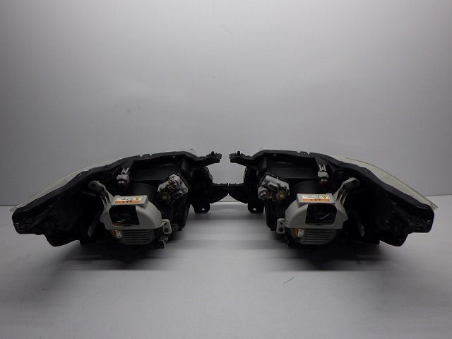 スティングレー 前期