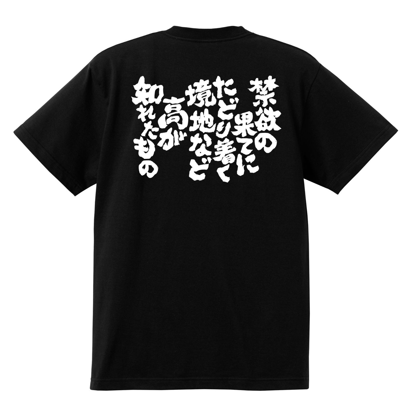 おもしろTシャツ 禁欲の果てにたどり着く境地など高が知れたもの w507