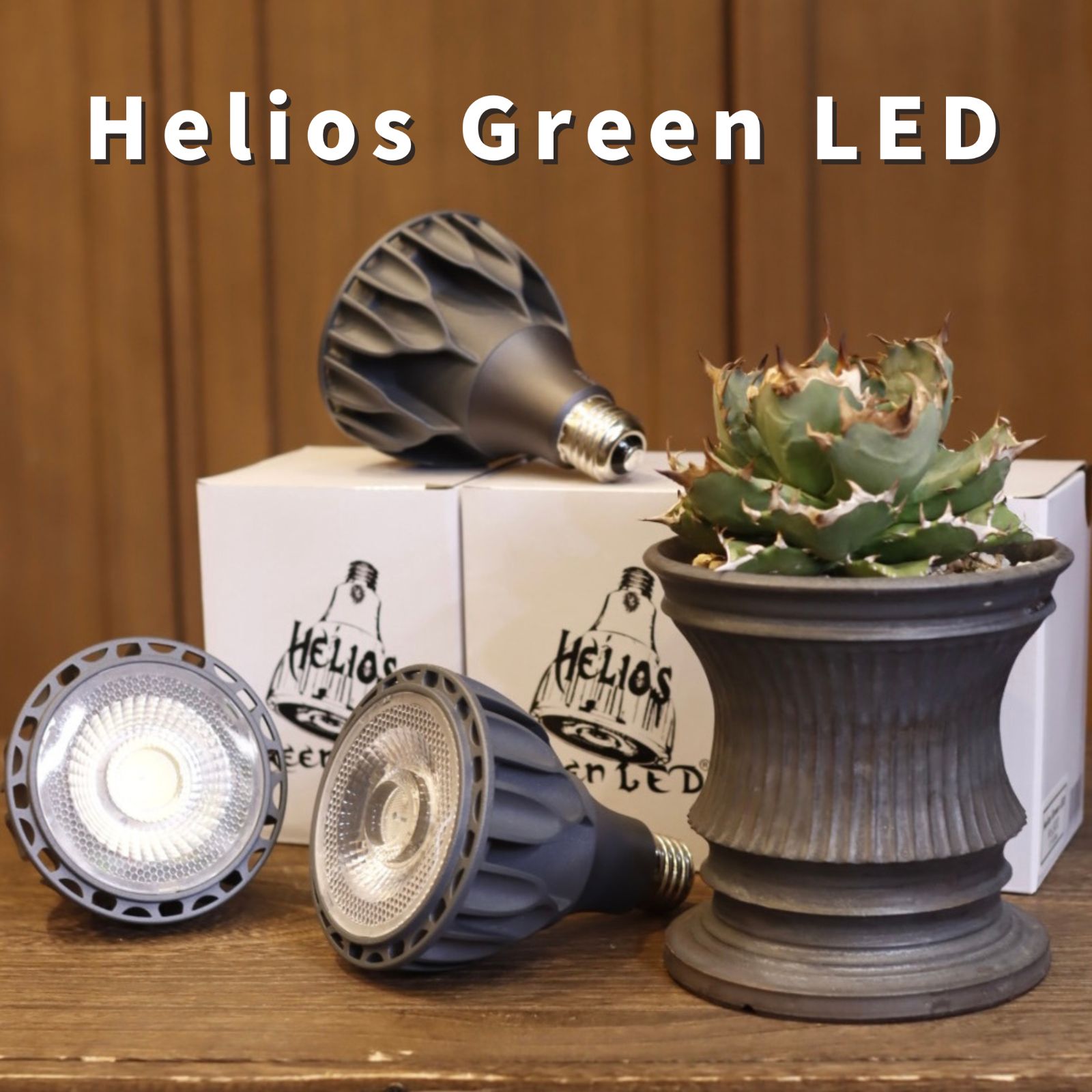 Helios Green LED HG24 2個セット ブラック 広角レンズ付 ヘリオスグリーンLED ヘリオス - TOKUE メルカリ