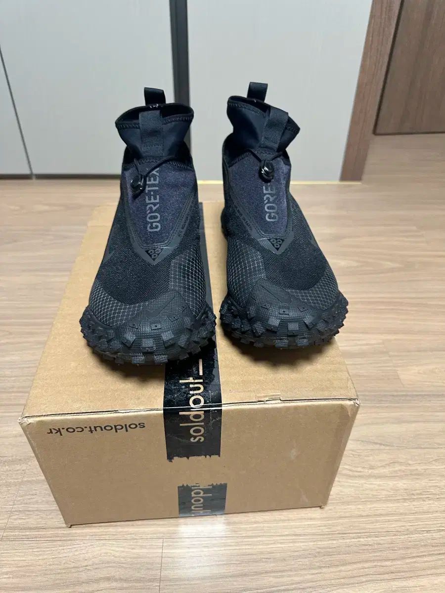 フライ GORE-TEX