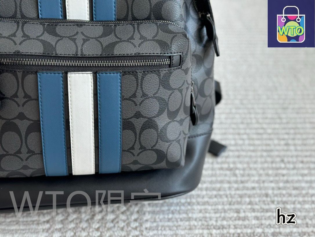 COACH コーチ レザー ダブルジッパー　バッグパック COACH コーチ レザー ダブルジッパー バッグパック COACH レザー