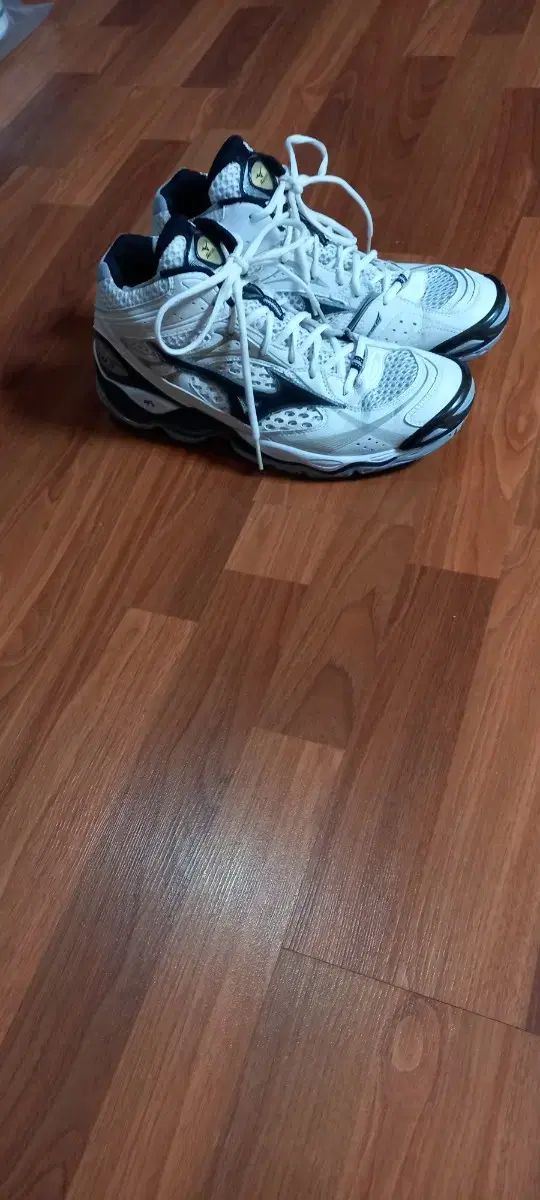 Mizuno ミズノ 290 バレーボールシューズ 波 ジャンプ TR3