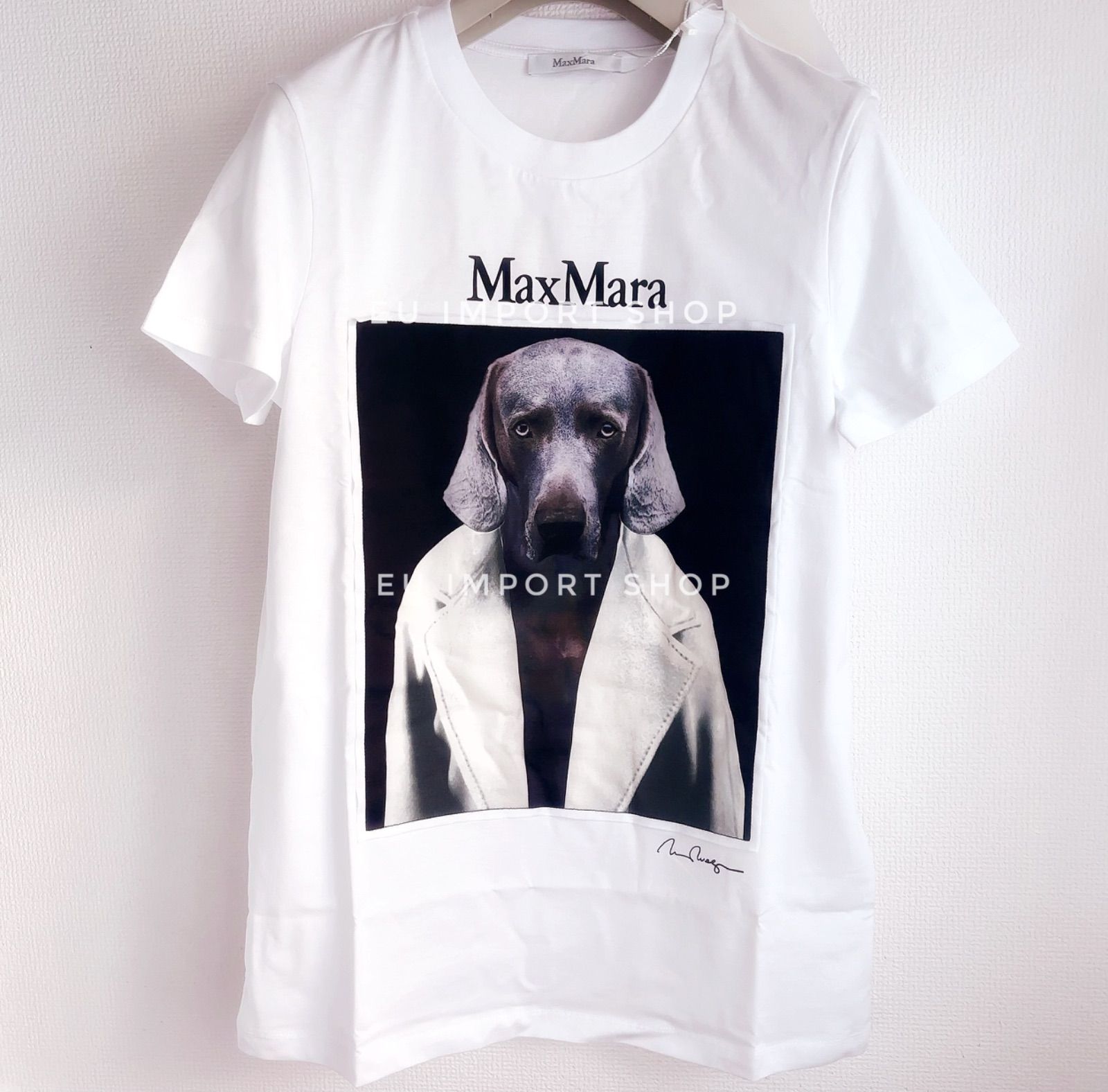 MAX MARA CIPRIA[チプリア] ピュア コットン ジャージー Tシャツ 箱付き*MAX MARA CIPRIA[チプリア] ピュア コットン ジャージー