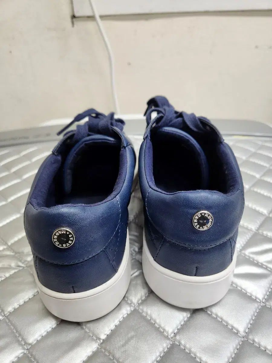 STEVE MADDEN レディース 靴 245 取寄) スティーブマデン レディース