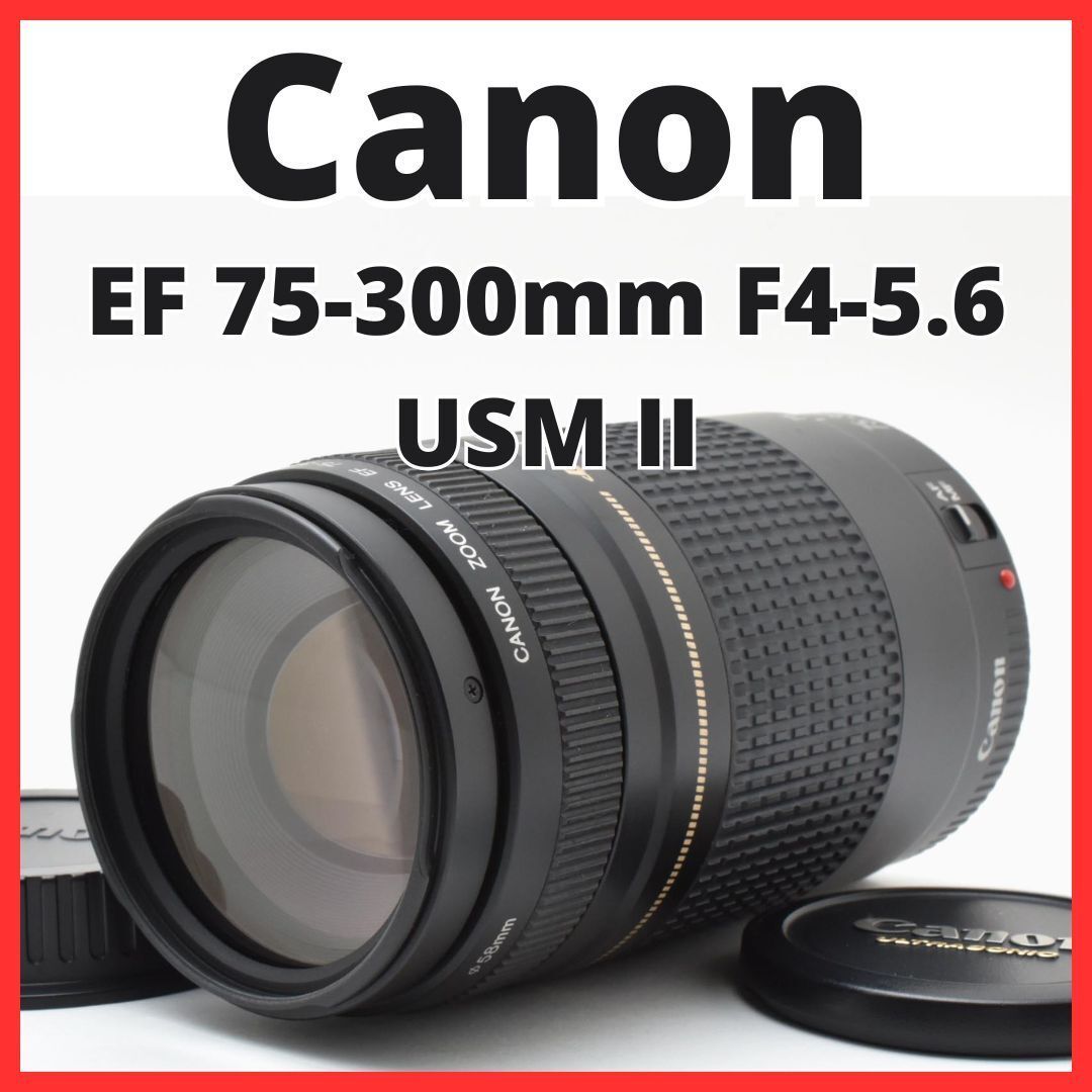 H13[6842] キヤノン Canon EF 75-300mm F4-5.6 USM II - メルカリ