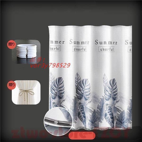 貝とヒトデ ユニット